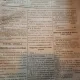 Monitorul Oficial al Romaniei - Nr. 49 - Februarie-Martie 1880