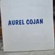 Aurel Cojan - Galeria de arta Contrapunct