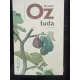IUDA - AMOS OZ