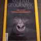 Cine a ucis gorilele din Virunga? - National Geographic Romania,Iulie 2008