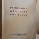 Psihologia gândirii copilului - C. Georgiade