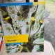 Biologie, manual pentru clasa a VII-a - Alexandrina Dana Grasu