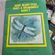 How many eyes does a dragonfly have? - Vitali Tanasychuk