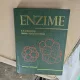 Enzime - I.F. Dumitru, Dana Iordăchescu