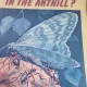Who lives in the anthill? - Alexander Tambiyev