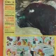 Revista Vaillant No 911?/Anul 18