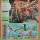 Revista Vaillant No 913?/Anul 18