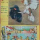 Revista Vaillant No 894?/Anul 18