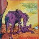 Colegat reviste 16 Tintin No. 37-52/ Anul 28