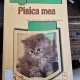 Pisica mea - Alice Badulescu