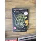 The invention of nature - Andrea Wulf