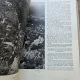 Enciclopedia Romaniei - Dimitrie Gusti vol.I-IV fara portrete