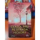 Ceasul rau de pe strada Hickory - Agatha Christie