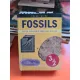 Fossils - Carl Mehling