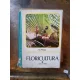 FLORICULTURA