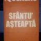 SFANTU' ASTEAPTA - RAYMOND QUENEAU