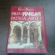 PRIN ITALIA PATRIA ARTEI - ELVIRA BOGDAN