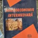 MACROECONOMIE INTERMEDIARA - MARIUS BACESCU