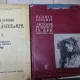 SCURTA ISTORIE A ARTELOR PLASTICE IN RPR II. SECOLUL XIX Vol 1 si 2