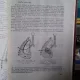 Semiologie anatomoclinica biochimica fiziopatologica - Emil A. Popescu