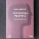INTELIGENTA PRACTICA , ARTA SI STIINTA SIMTULUI PRACTIC de KARL ALBRECHT