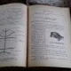 ZOOLOGIA VERTEBRATELOR. LUCRARI PRACTICE - M. TEODOREANU