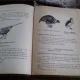 ZOOLOGIA VERTEBRATELOR. LUCRARI PRACTICE - M. TEODOREANU
