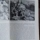 STUDII MUZEALE   VOL.5 V