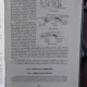 FIZICA - C. CIUBOTARIU