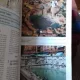 SIENNE. GUIDE AVEL LE PLAN DE LA VILLE - LORETTA SANTINI  (GHID SIENA+HARTA ORASULUI)