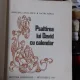 PSALTIREA LUI DAVID CU CALENDAR - CRISTINA LUCIA BICA