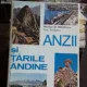 ANZII SI TARILE ANDINE - NICOLAE ST. MIHAILESCU