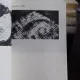 DORU TULCAN. DESEN, SERIGRAFIE, FOTOGRAFIE