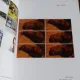 CATALOG VERNISAJ PROIECT ARTE IN BUCURESTI, 2015 - OMUL IMPOTRIVA VIETII