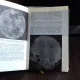 O PLANETA NUMITA PAMANT - GEORGE GAMOW