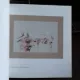 CATALOG EXPOZITIE - CALEA CUNOASTERII, CALEA IUBIRII