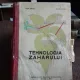 TEHNOLOGIA ZAHARULUI - LUCIA ILIESCU