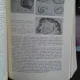 PATOLOGIA MEDICALA A ANIMALELOR DOMESTICE-VOL1 + 2- I. ADAMESTEANU