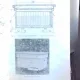 INITIERE SI PRACTICA IN APICULTURA - EUGEN MARZA