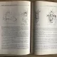 TEHNICA OPERATORIE OSTEO-ARTICULARA - CONSTANTIN RADU