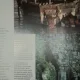 101 PONTURI DE BAZA IN FOTOGRAFIA DIGITALA DE MICHAEL FREEMAN 2