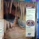 PLANETA TERRA. ENCICLOPEDIA PENTRU COPII