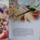 PLANES (AVIOANE) - CARTE PENTRU COPII