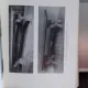 WOHNUNGSKULTUR UND MÖBEL DER ITALIENISCHEN RENAISSANCE - FRIDA SCHOTTMULLER (MOBILER DE APARTAMENT, IN ITALIA, EPOCA RENSTERII)