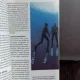 SCUFUNDAREA LIBERA - DAGMAR ANDRES BRUMMER