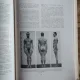 Gheorghe Ghitescu - Constructia Corpului; Formele Corpului in Repaus si Miscare; Morfologia Artistica Expresia ( 3 volume)