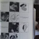 ATLAS COMENTAT DE ECOGRAFIE ABDOMINALA - GH. BADEA