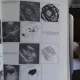 ATLAS COMENTAT DE ECOGRAFIE ABDOMINALA - GH. BADEA