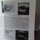 DIAGNOSTICUL ECOGRAFIC IN OBSTETRICA SI GINECOLOGIE - DAN VINTI