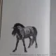 PONEIUL PEDRO - ERWIN STRITTMATTER
